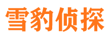 新平市侦探公司